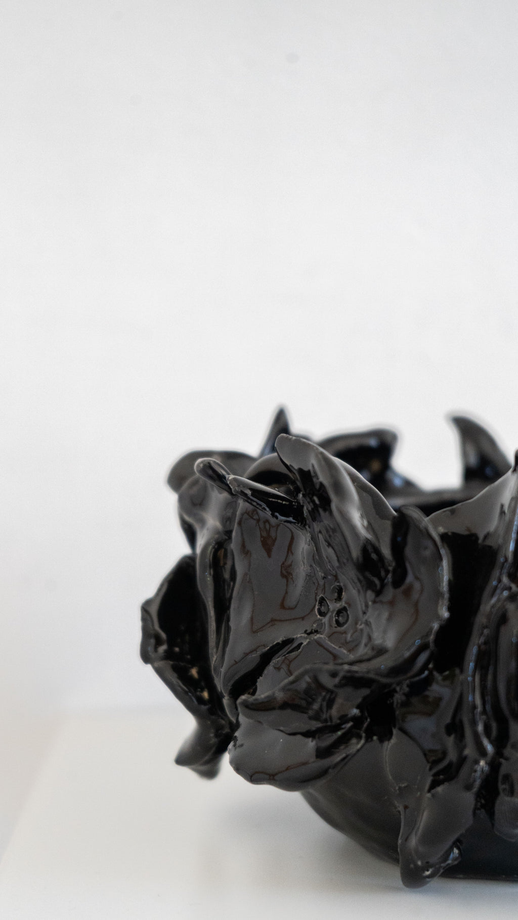 Bowl negro con flores